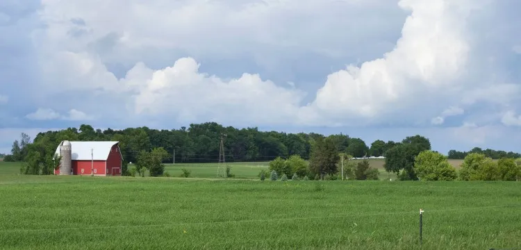 ""